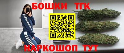 тгк Новозыбков