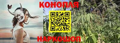 ALPHA PVP Новодвинск