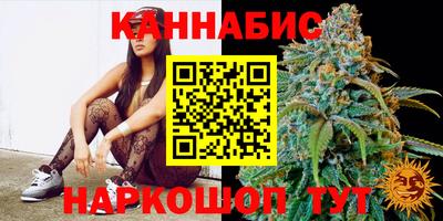 тгк Новозыбков