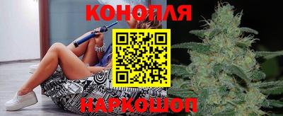 тгк Новозыбков