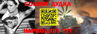 тгк Новозыбков