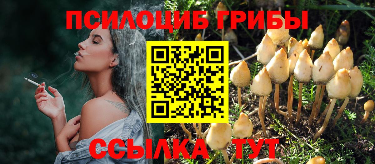 Псилоцибиновые грибы ЛСД Соль-Илецк