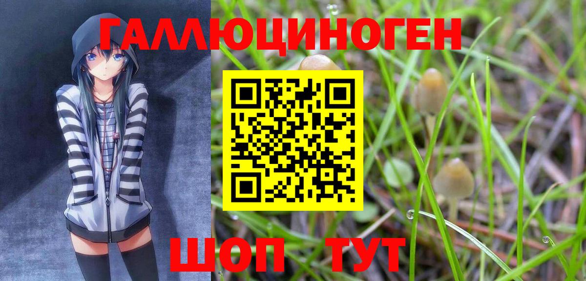 Соль-Илецк  Псилоцибиновые грибы мицелий  Вход с VPN 