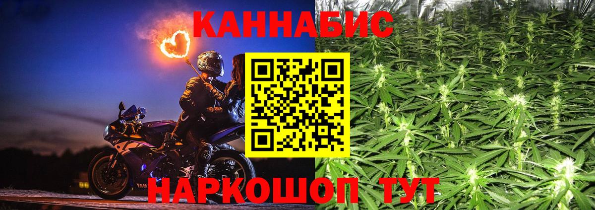 Конопля OG Kush Соль-Илецк